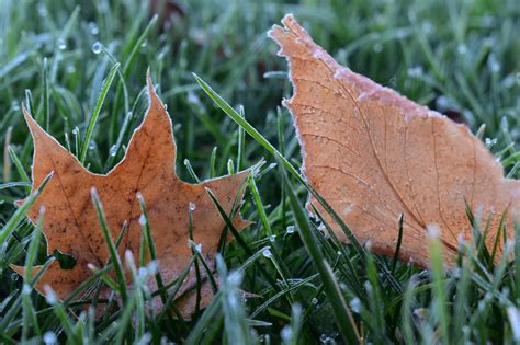 orai vilniuje menesiui gismeteo